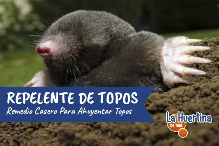 Gardigo 4 Trampas Para Topillos De Cobre - Eficaces Y Reutilizables - Protege Tu Jardín Y Césped