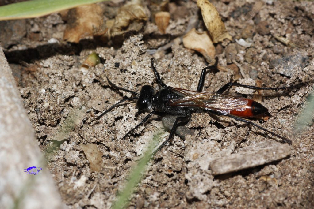 12037138253_78cb9cb960_k