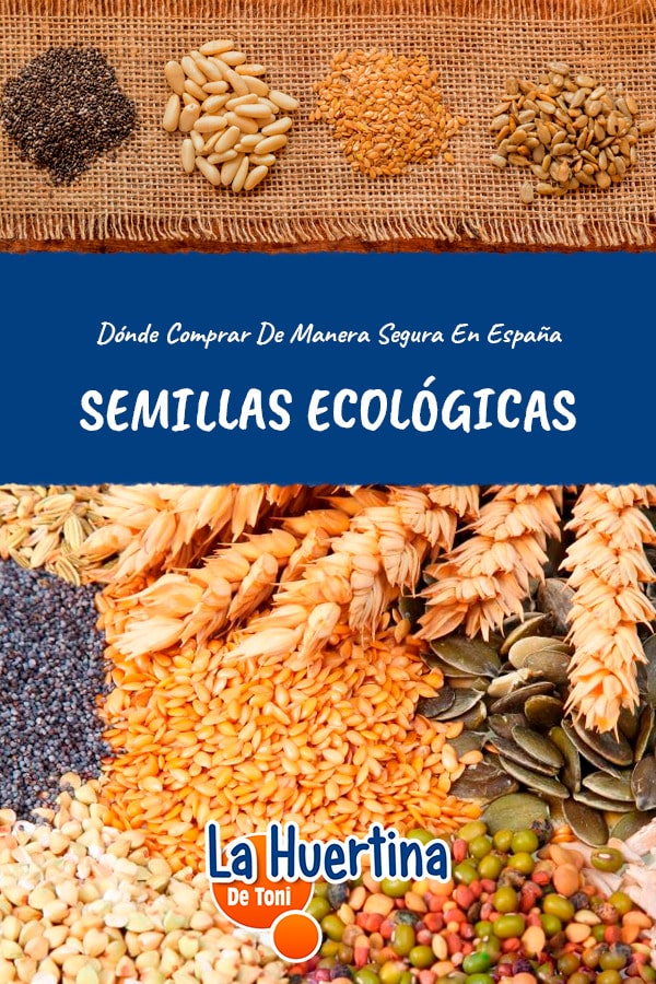 Multa enfermero natural Donde Comprar Semillas Ecológicas En España