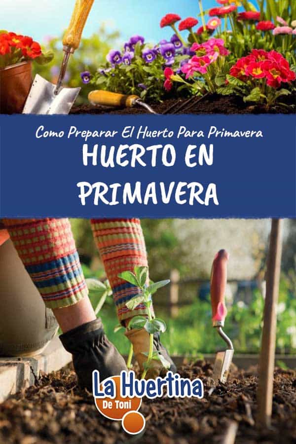 Como preparar el huerto para sembrar en primavera