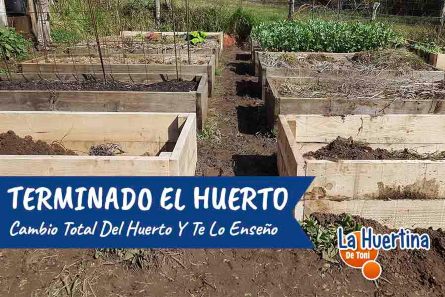 cambio huerto a bancal