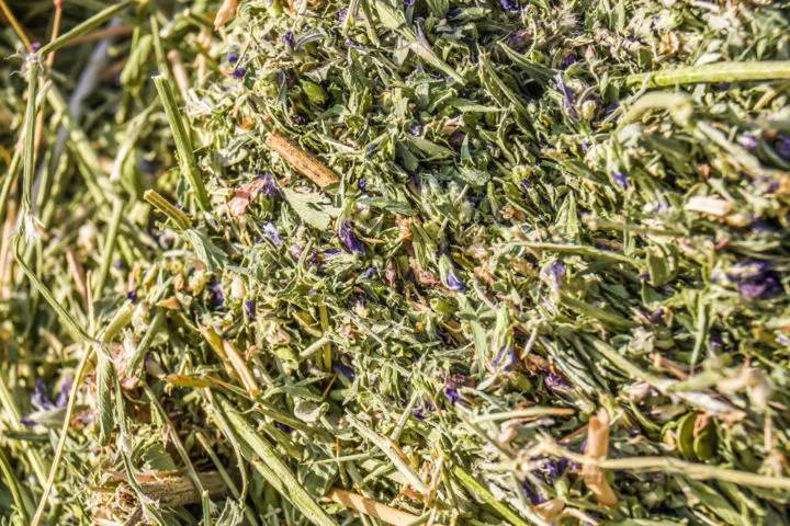 acelerador de compost alfalfa