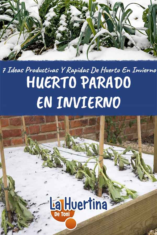 huerto parado en invierno