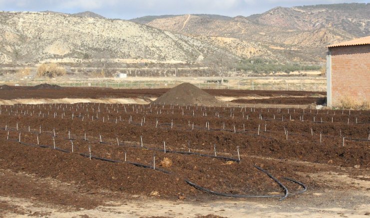 humus de lombriz comprar a granel