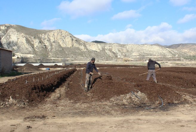 proceso del humus de lombriz industrial