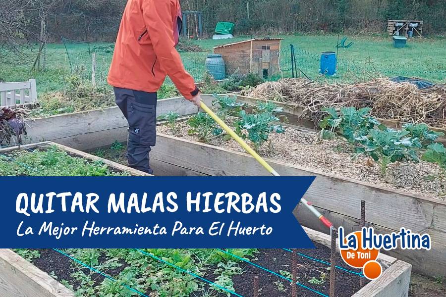 herramienta quitar hierbas