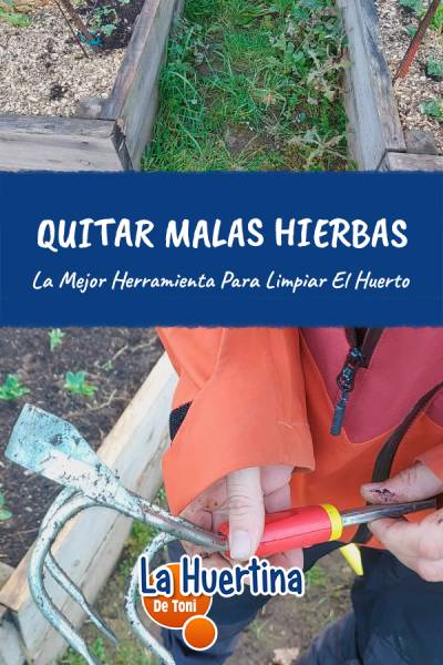 quitar malas hierbas
