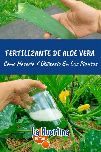 como utilizar aloe vera como fertilizante