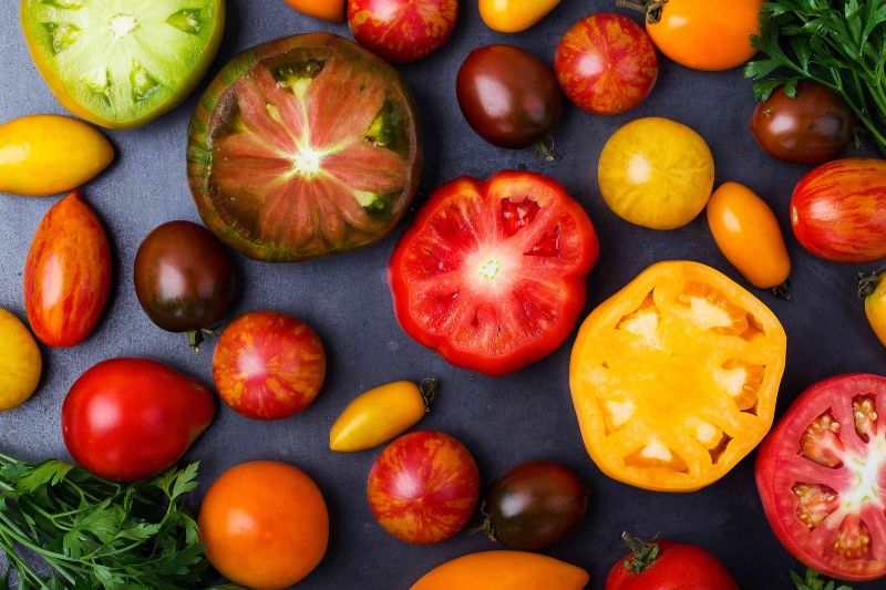 variedades de tomates de colores