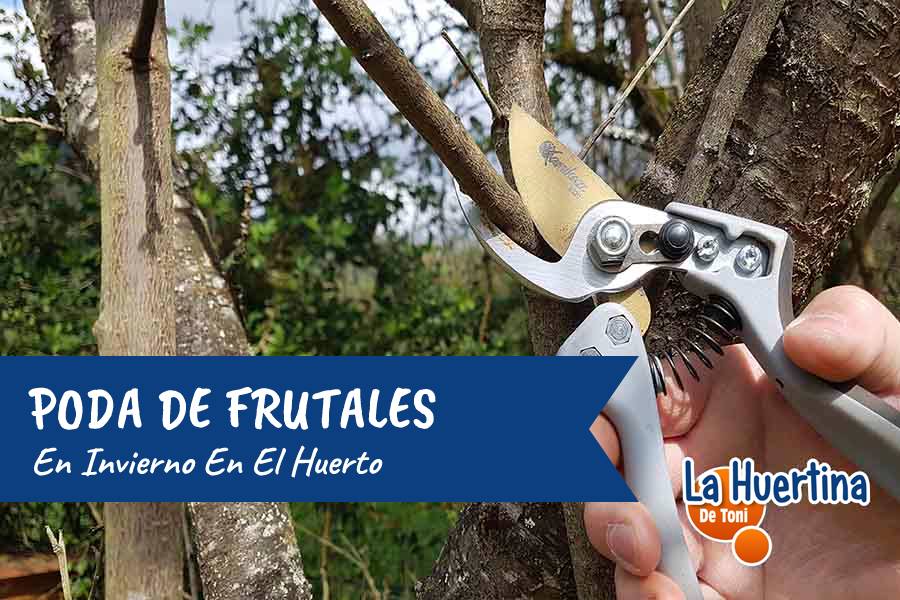 podar frutales invierno