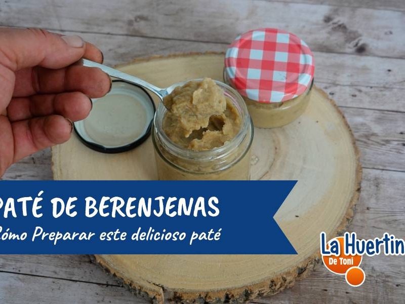 preparar pate de berenjenas