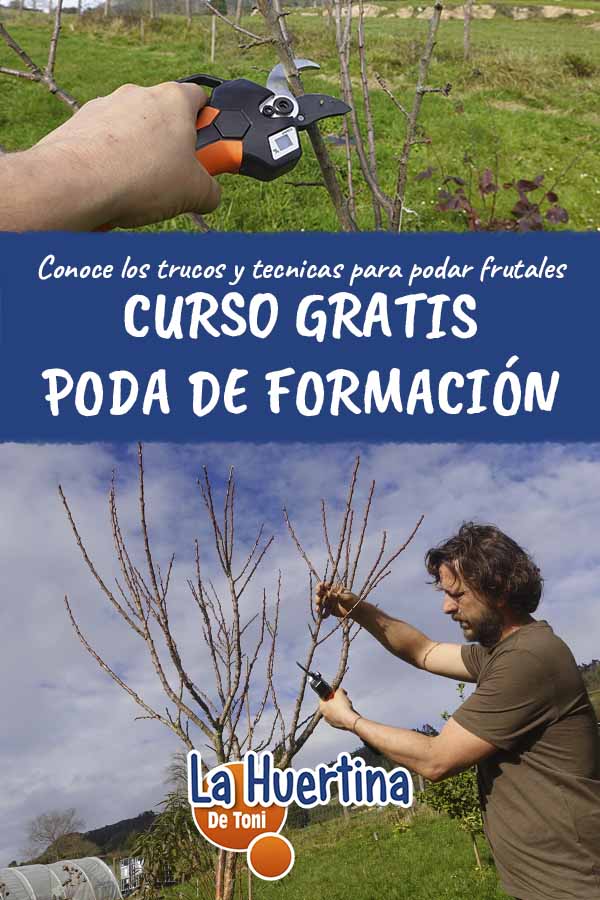 curso gratis de poda de formación