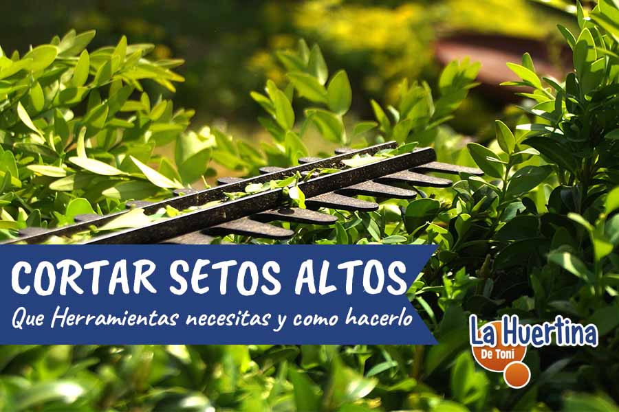 cortar setos altos
