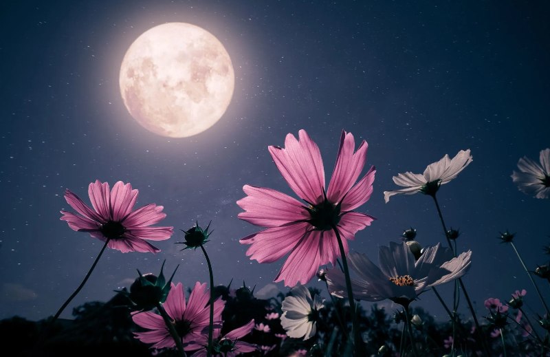 cultivo con la luna