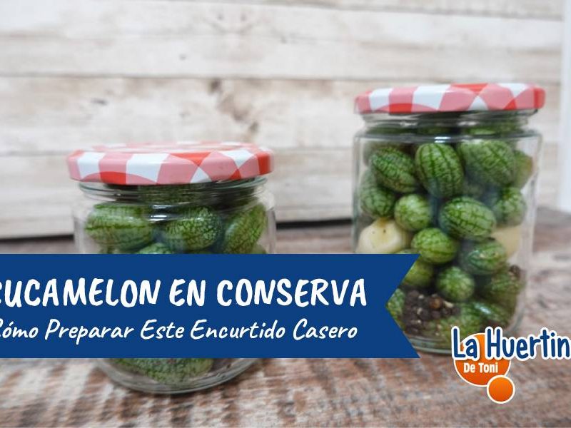 encurtido cucamelon
