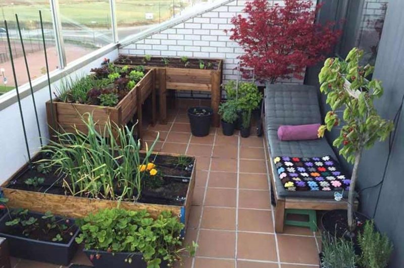 tener-un-huerto-en-la-terraza