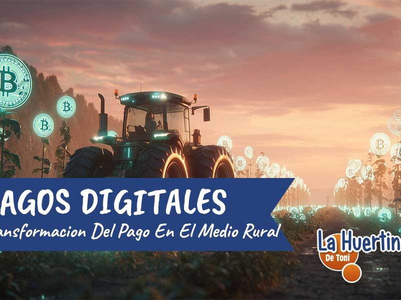 pagos digitales