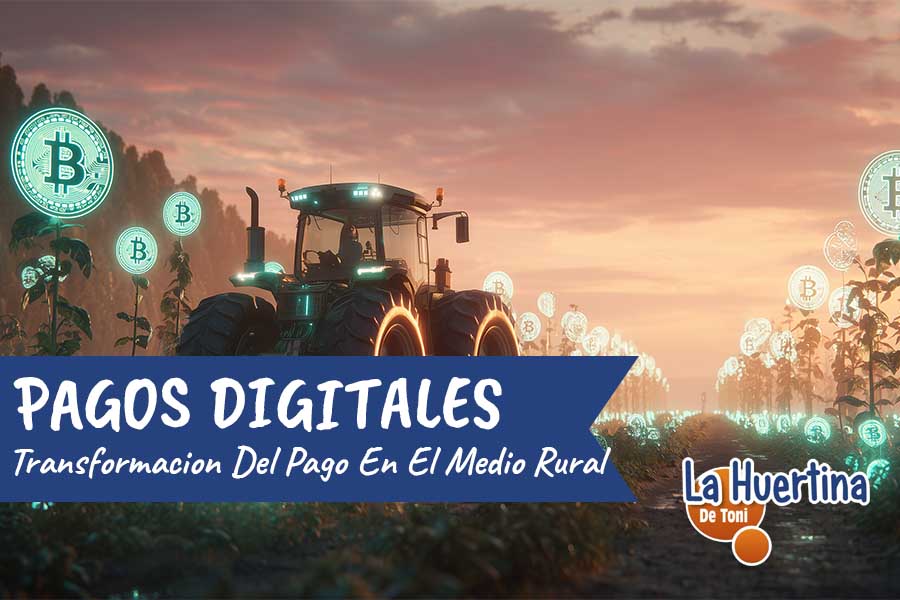 pagos digitales