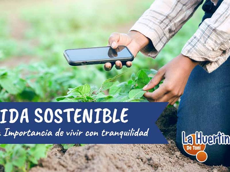 vida sostenible