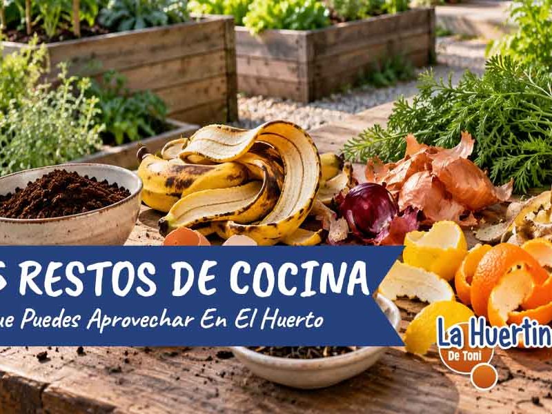 restos de cocina