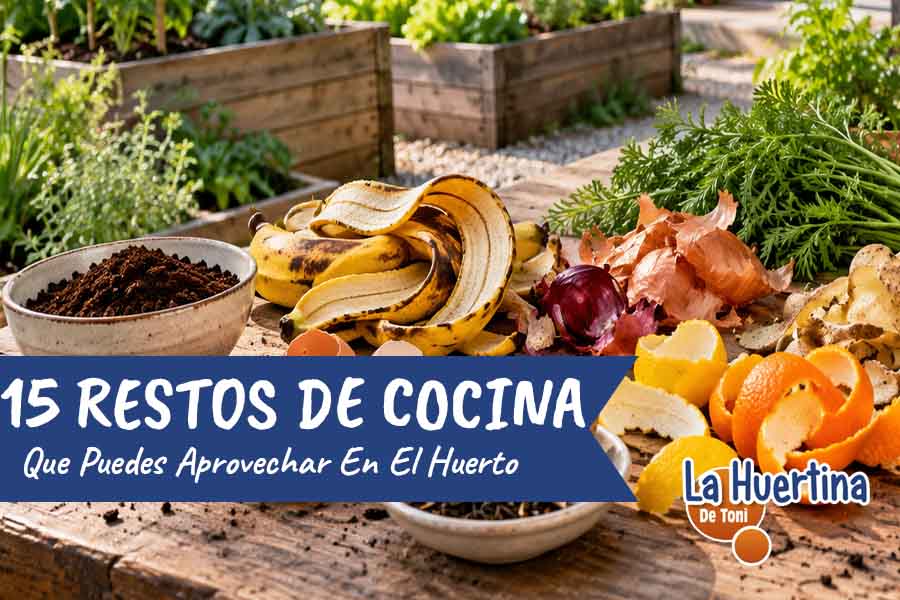 restos de cocina